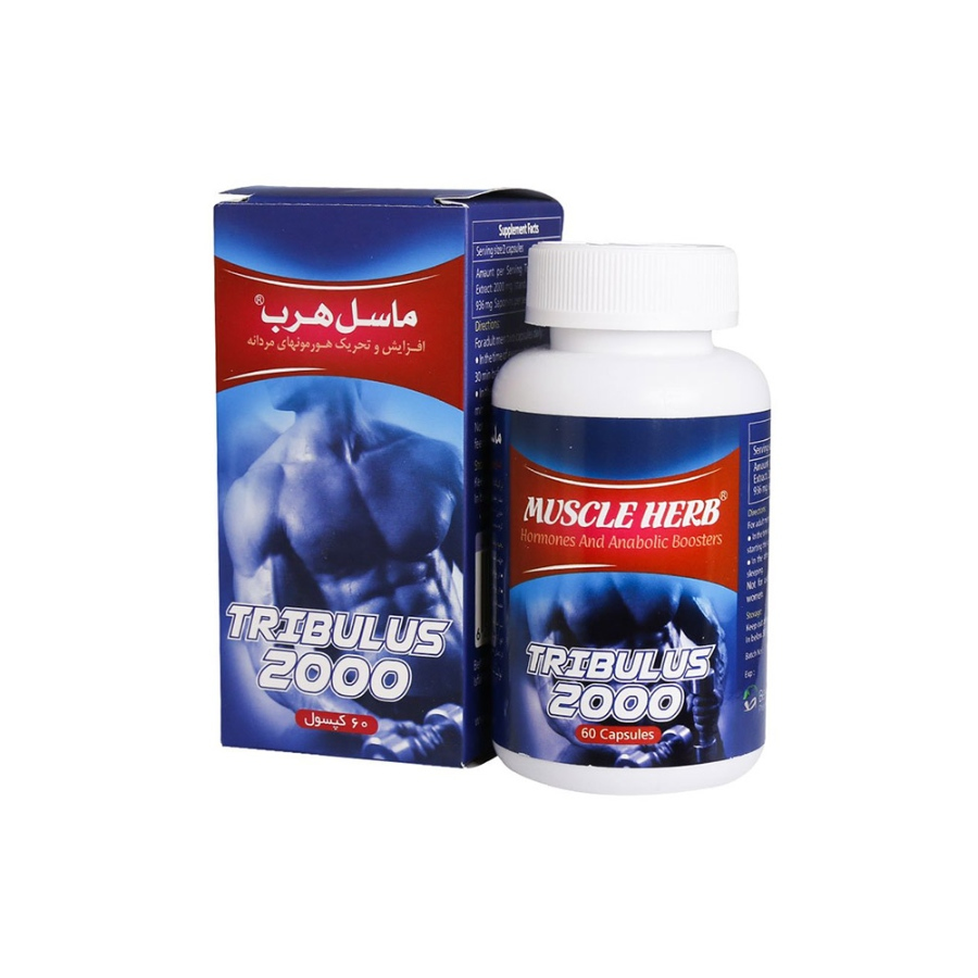 ماسل هرب